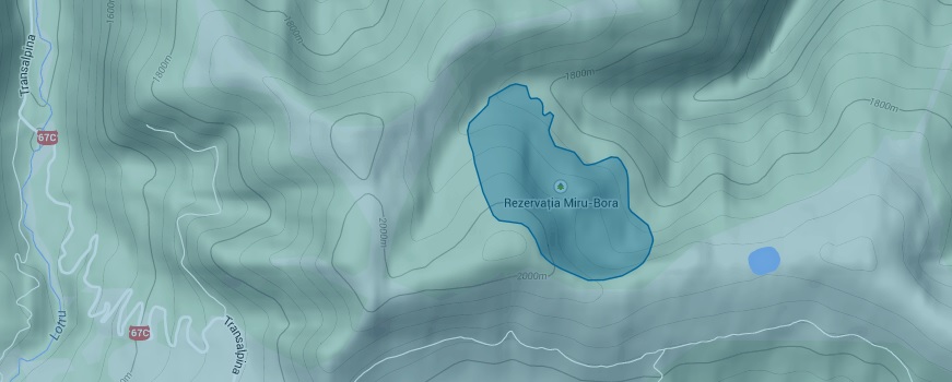 rezervatia miru bora
