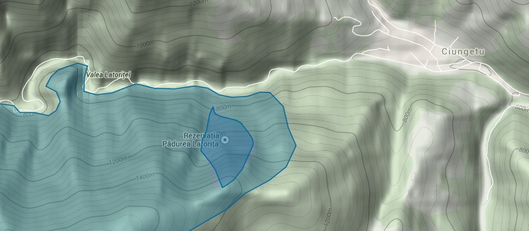 rezervatia padurea latorita