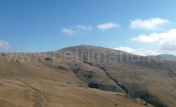 varful fratosteanu mare